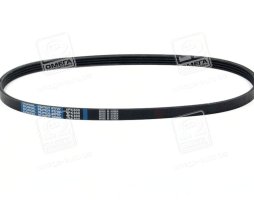 Ремінь поліклін. 4PK800 (вир-во DONGIL)