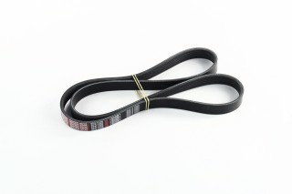 Ремень поликлиновой 6PK1230 (пр-во DONGIL)