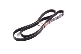 Ремінь поліклін. 5PK1300 (вир-во DONGIL)