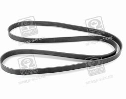 Ремень поликлиновой 6PK1980 (пр-во DONGIL)