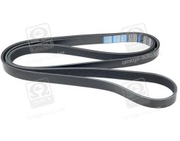 Ремень поликлиновой 6PK2250 (пр-во DONGIL)