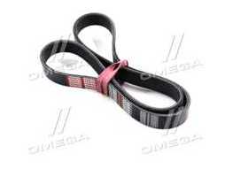 Ремінь поліклін. 6PK1000 (вир-во DONGIL)