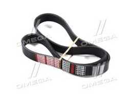 Ремінь поліклін. 6PK875 (вир-во DONGIL)