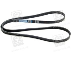 Ремень поликлиновой 5PK1800 (пр-во DONGIL)