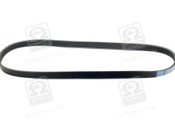 Ремень поликлиновой 5PK1015 (пр-во DONGIL)