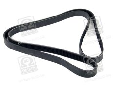 Ремінь поліклін. (вир-во SKF)