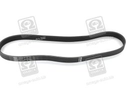 Ремінь поліклін. (вир-во SKF)