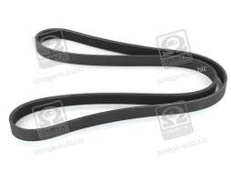 Ремінь поліклін. (вир-во SKF)