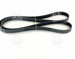 Ремінь поліклін. (вир-во SKF)