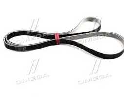 Ремінь поліклін. (вир-во SKF)