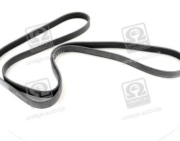 Ремінь поліклін. (вир-во SKF)