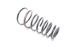 Пружина подвески задняя (пр-во Mobis)