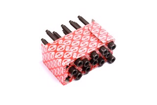 Комплект болтів головки цилідра VW 2.5i BGP/BGQ/BPR/BPS/BTK/CBTA (вир-во Elring)