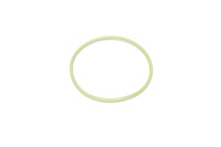 Уплотнительное кольцо. F00N201857 BOSCH