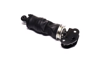 Амортизатор кабіни RENAULT Premium (L225-298) задн. (вир-во Sabo)