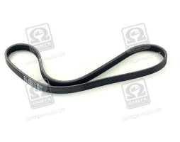 Ремінь поліклін. (Вир-во SKF)