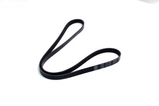 Ремінь поліклін. (Вир-во SKF)