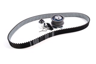 Ремінь, ролики ГРМ (компл.) ГРМ AUDI, SEAT (Вир-во Ina)