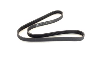 Ремінь поліклін. (Вир-во SKF)