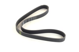 Ремінь поліклін. (Вир-во SKF)