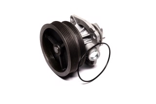 Водяний насос (Вир-во Magneti Marelli кор.код. WPQ0303)