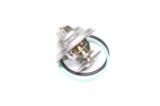 Термостат MAN, MB (вир-во FEBI)