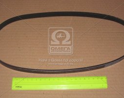 Ремінь генератора (вир-во Mobis)