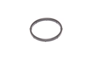 Кільце ущільнювача корпусу термостата (вир-во Mobis)
