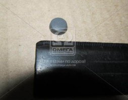 Заглушка внутрішньої панелі дверей (вир-во Mobis)