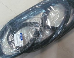 Ущільнювач дверей багажника Hyundai Ix35/tucson 04-(вир-во Mobis)