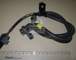 Датчик ABS задній правий Hyundai H-1 07- (вир-во Mobis)