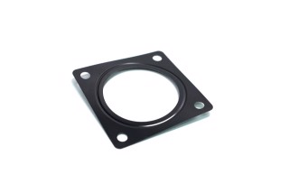 Прокладка клапана Kyron, Actyon (Sports), Rexton (вир-во SsangYong)