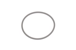 Уплотнительное кольцо (пр-во Bosch). F00N201306