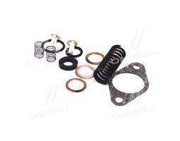 Ремкомплект ТННД КамАЗ-740,-7403 (подкачки) <ДК>