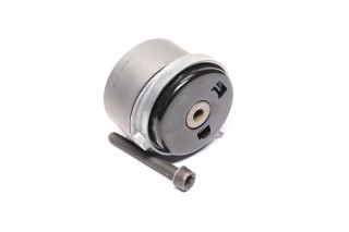 Натяжний ролик, ремінь ГРМ CHEVROLET (Вир-во NTN-SNR)