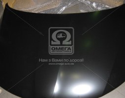 Капот SK RAPID 13- (пр-во TEMPEST)