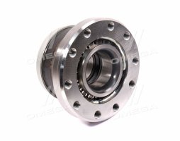 Маточина колеса з підшипниками RENAULT (RIDER)