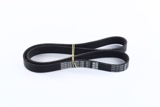 Ремінь полікліновий 6PK1062 (Вир-во DAYCO)