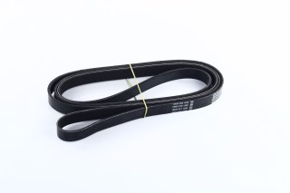 Ремінь полікліновий 6PK2504 (Вир-во DAYCO)