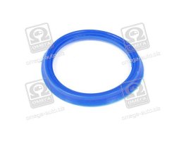 Сальник 62*48*5,7 втулки кабины DAF 65,75,85CF,XF95,105 (RIDER)