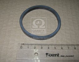 Прокладка радіатора оливи