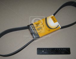 Ремінь клиновий (вир-во ContiTech)