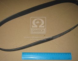 Ремінь поліклінової (вир-во ContiTech)