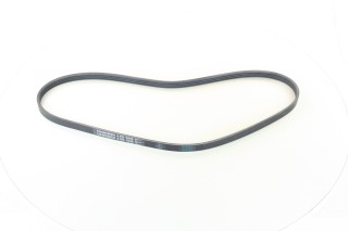 Ремінь полікліновий (Вир-во ContiTech)