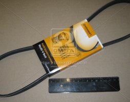 Ремінь полікліновий (Вир-во ContiTech)