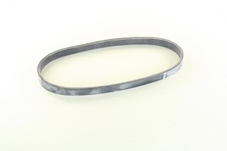 Ремінь полікліновий (Вир-во ContiTech)