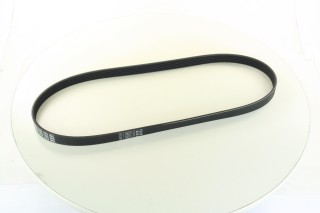 Ремінь полікліновий (Вир-во ContiTech)