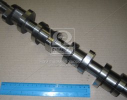 Вал розподільчий VAG AUY/BVG/ASZ/ARL/BTB/BRT (вир-во AE)