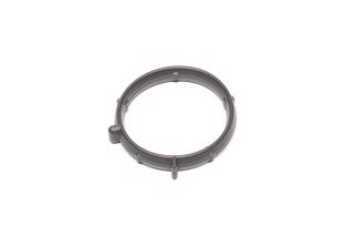 Прокладка колектора IN FIAT DOBLO 1.9D (4) (вир-во PAYEN)