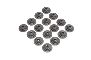 Сальник клапана IN/EX (компл.) ROVER 1.4/1.6 16V 14K4C/14K4F/14K4M/16K4F/18K4F/18K4K (вир-во PAYEN)